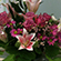 image08